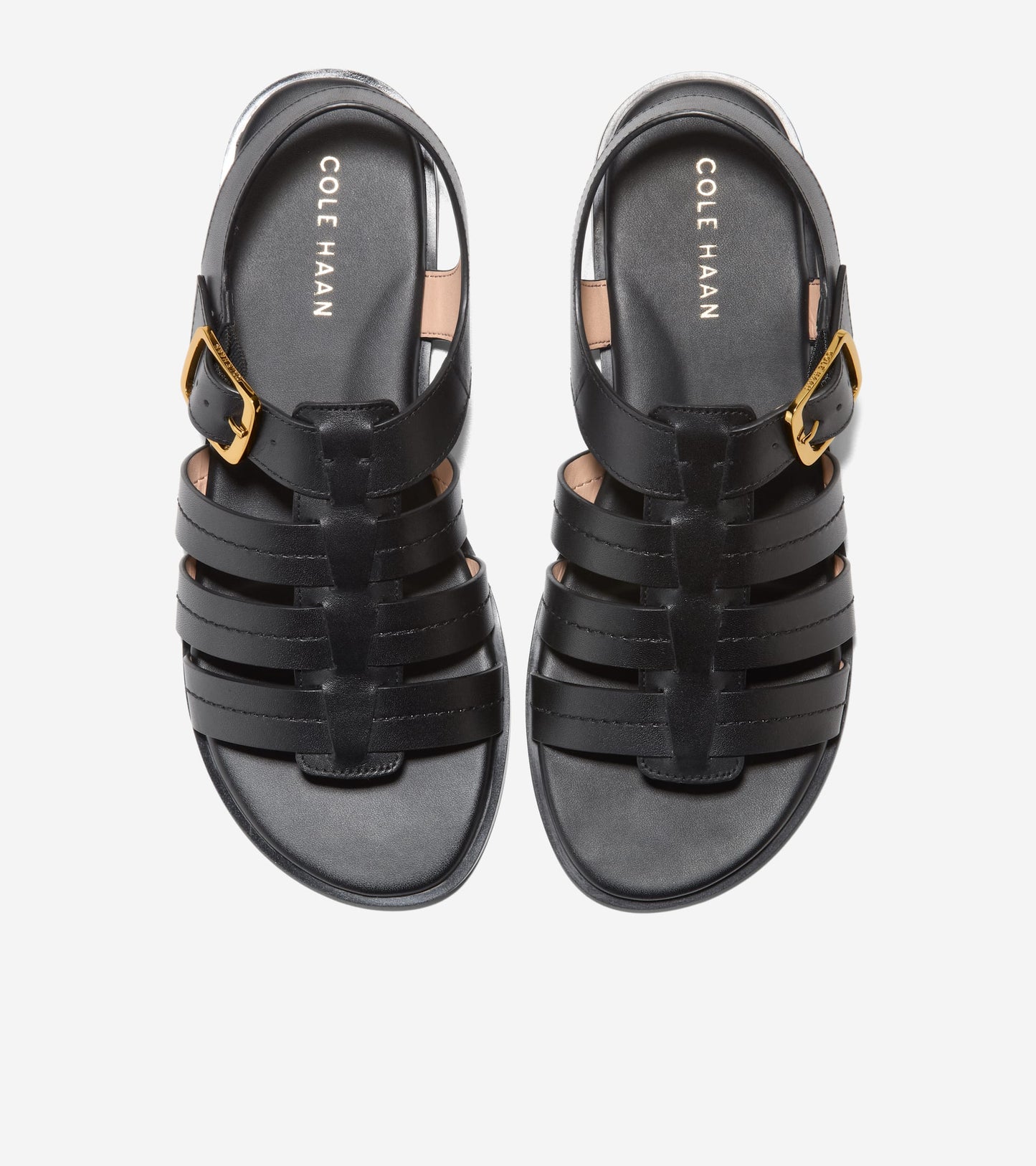 W32272:BLACK LTR