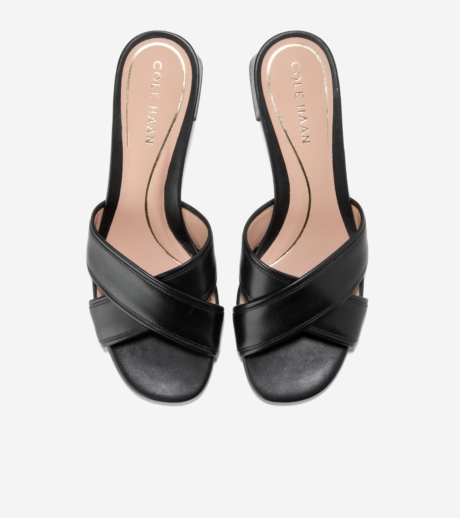 W32383:BLACK LTR