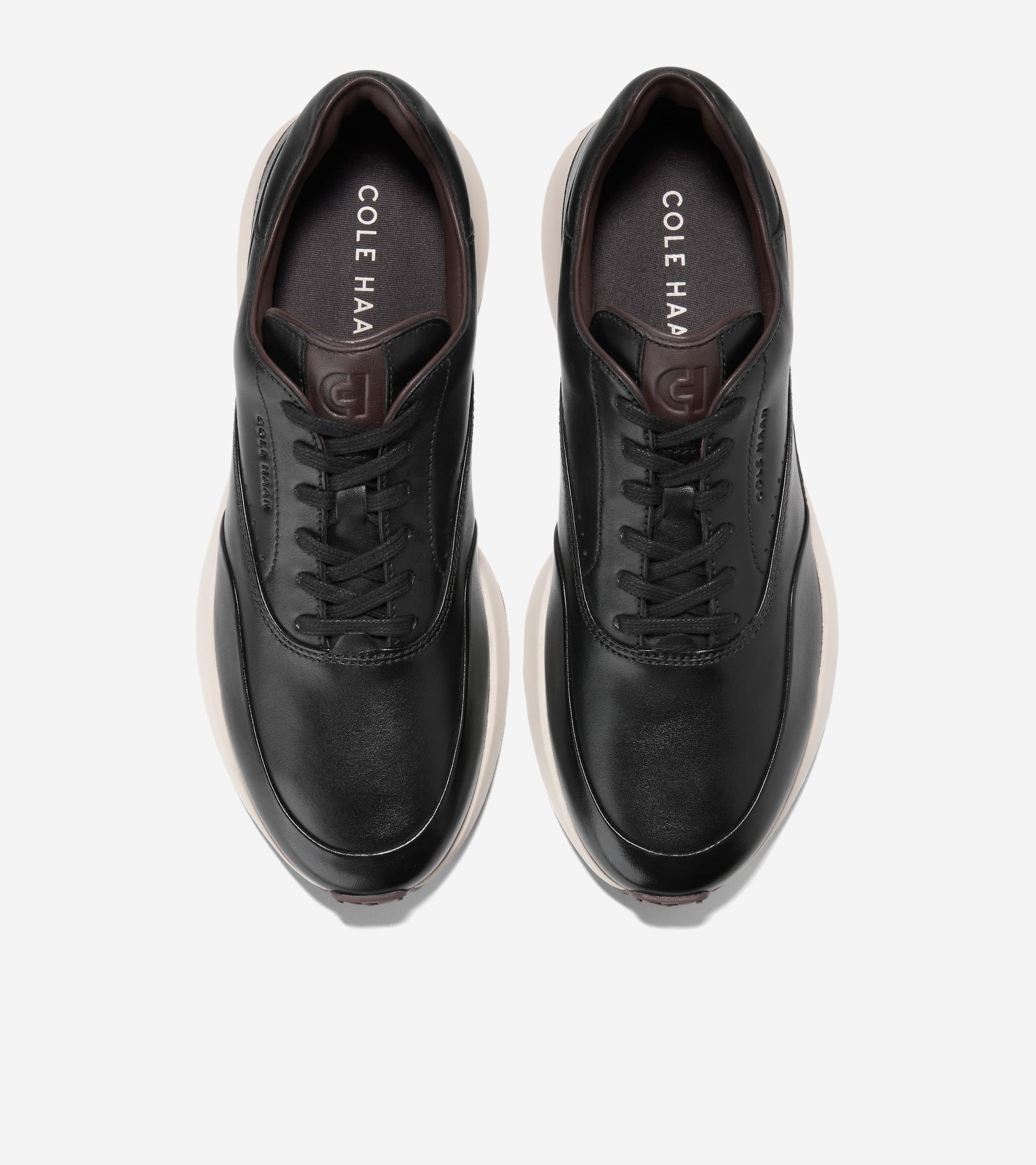 C43189:BLACK / CH MADEIRA / ANGORA