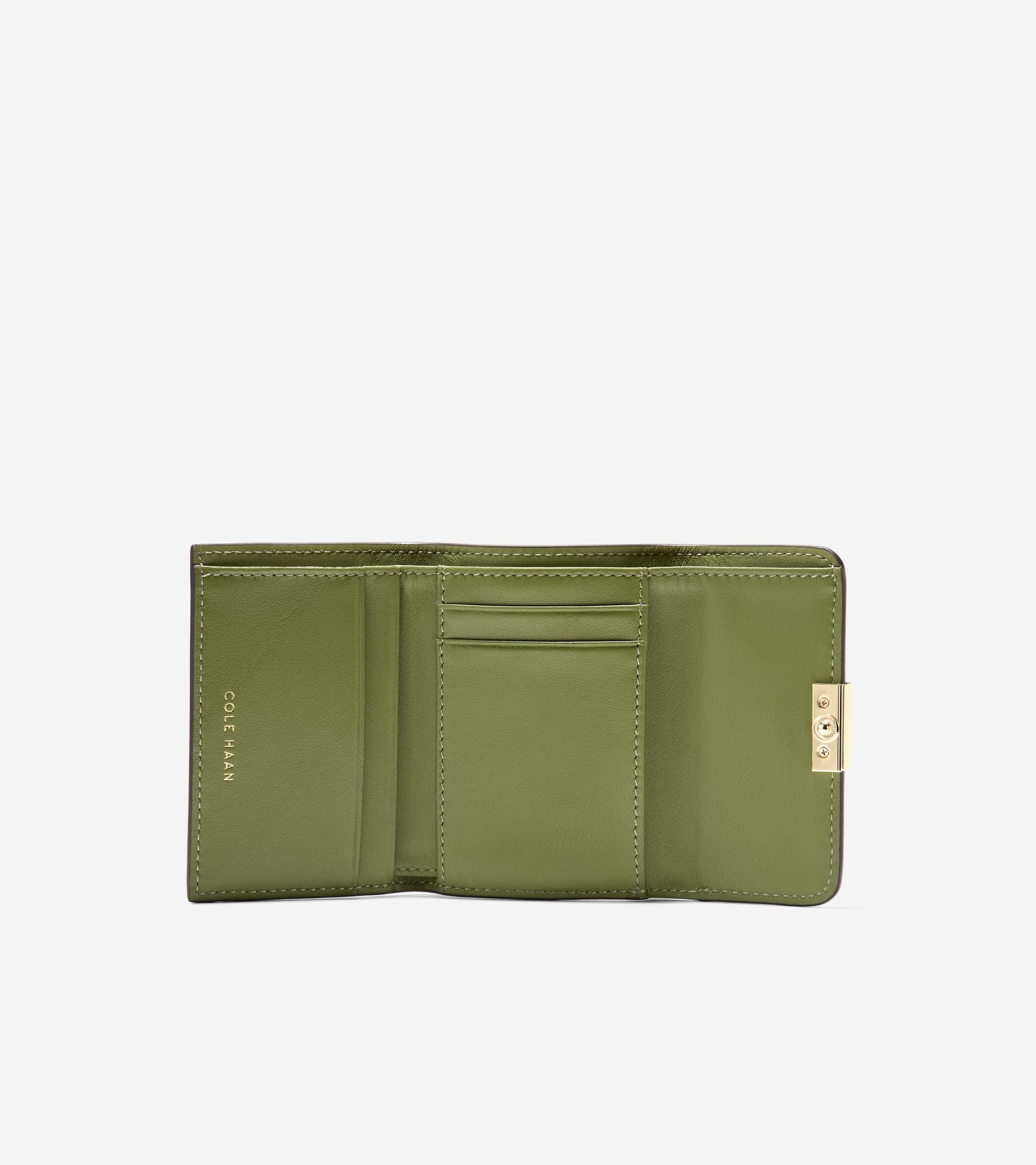 U08076:LIGHT MOSS:null