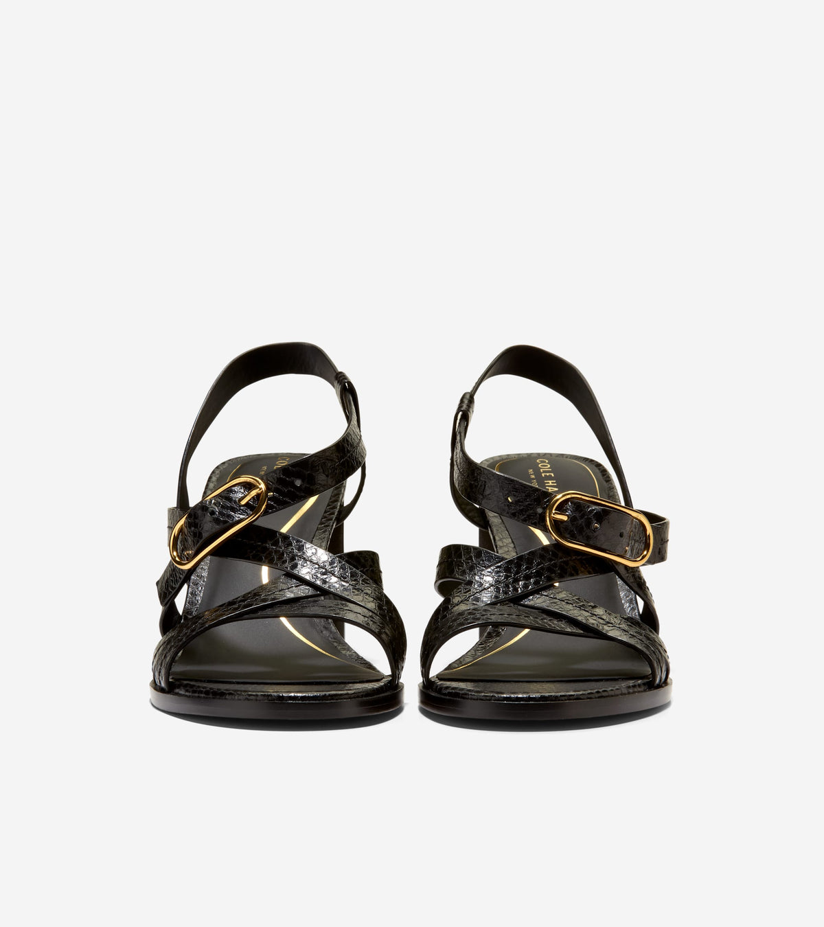 W36934:BLACK GLOSSY SNAKE PRINT LTHR