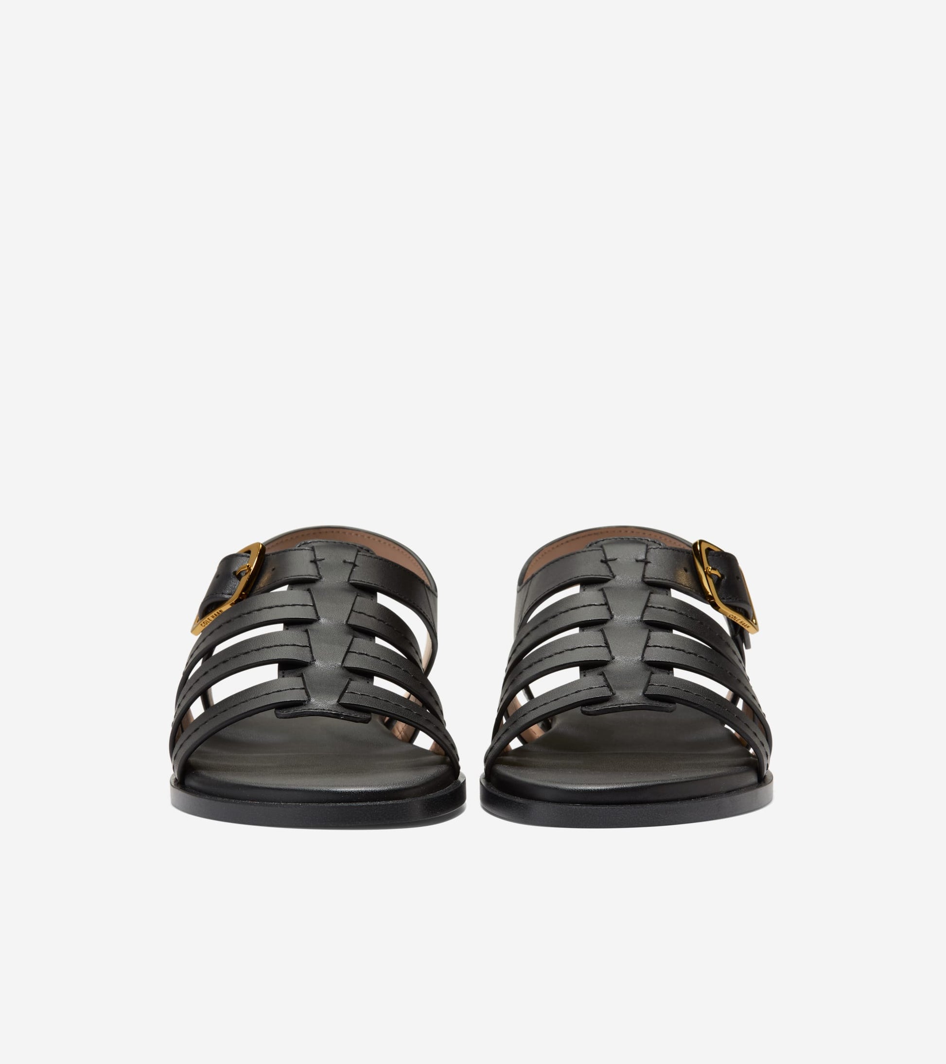 W32272:BLACK LTR